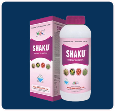 Shaku